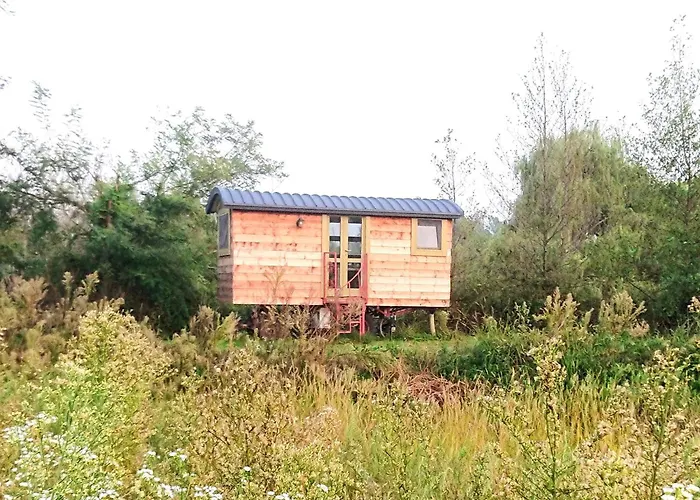 Glamping Casetta sul lago